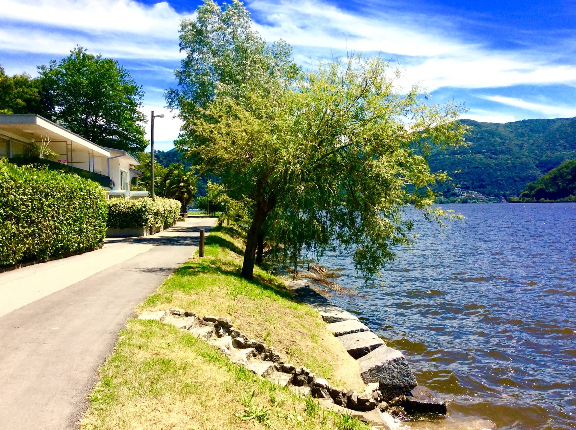 Nature near Ticino